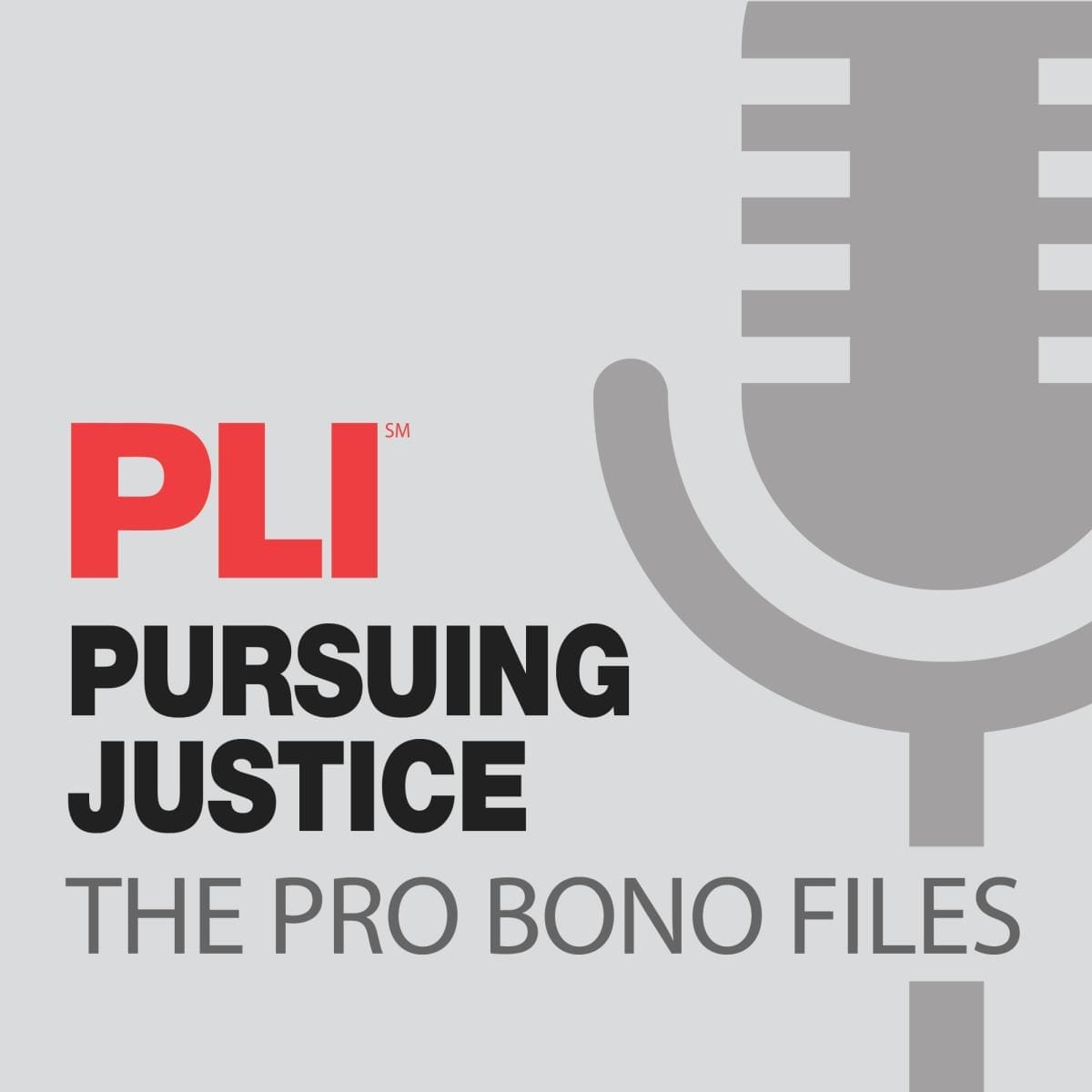 PURSUING JUSTICE: THE PRO BONO FILES